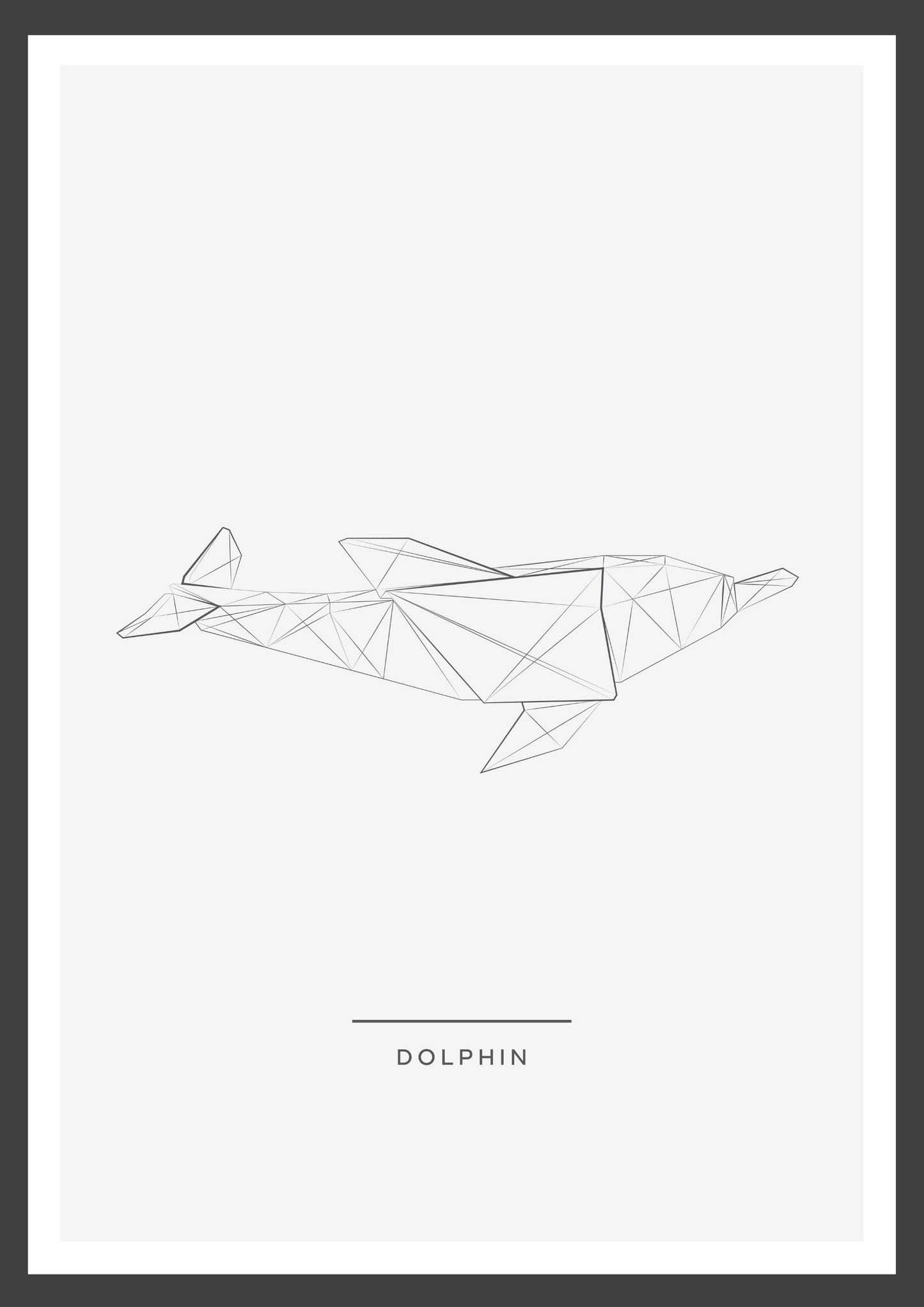 Dolphin