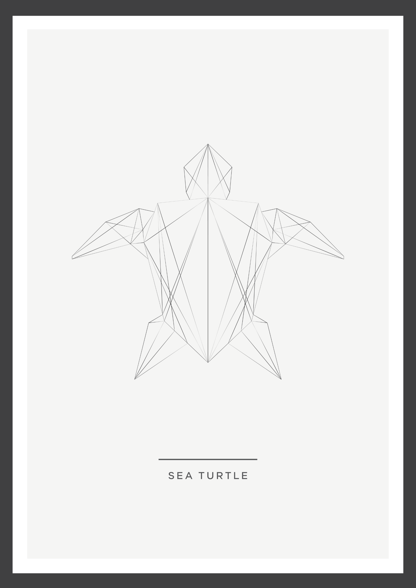 Sea turtle