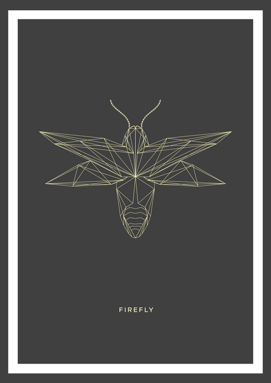 Firefly colored