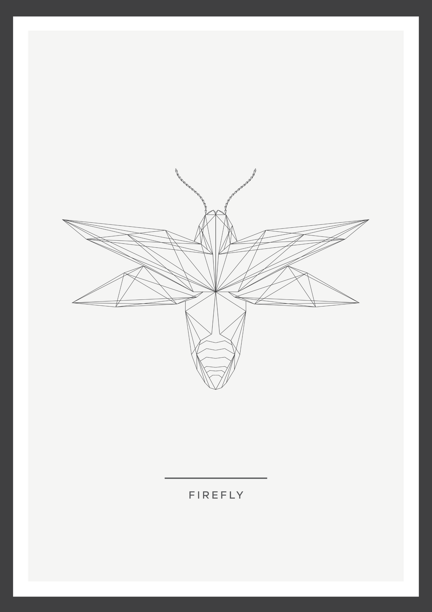 Firefly
