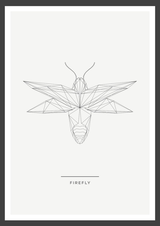Firefly