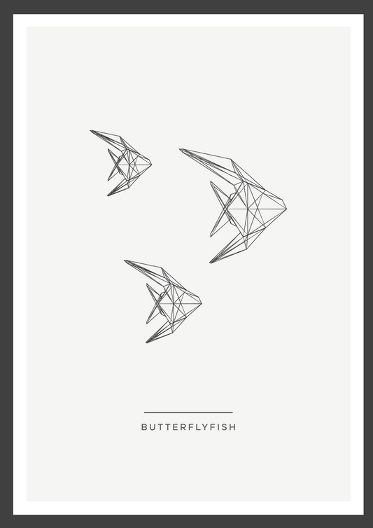 Butterfly fish