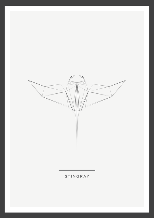 Stingray