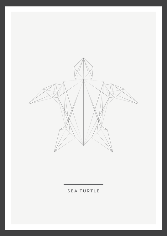 Sea turtle